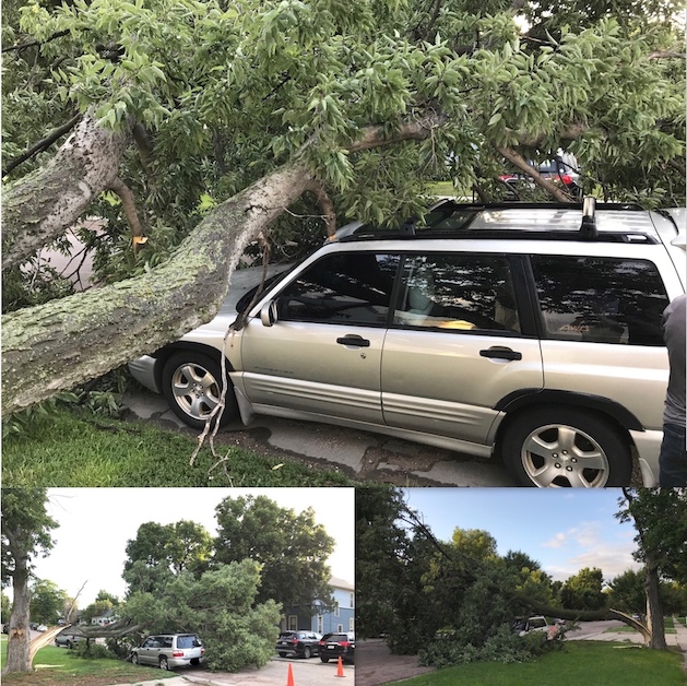 Collage created using TurboCollage software from www.TurboCollage.com