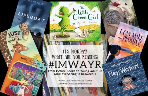 Collage created using TurboCollage software from www.TurboCollage.com