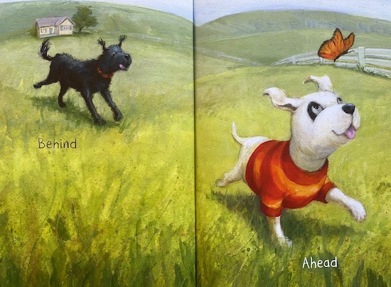 Big-and-Little-SPREAD