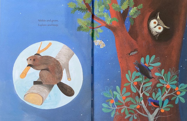 Home-Builders-SPREAD