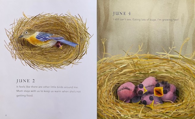 My-Happy-Year-SPREAD