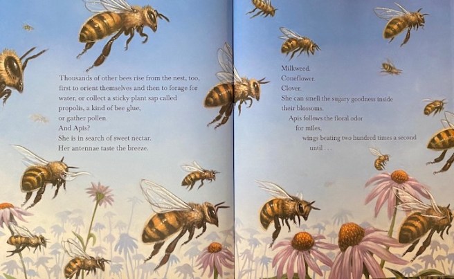 HoneyBee-Apis-Mellifera-SPREAD