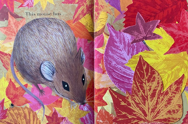 Counting-Creatures-SPREAD